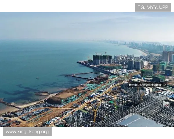 半岛体育在线平台：多平台支持高清直播、回放和多角度切换带来极佳观看体验