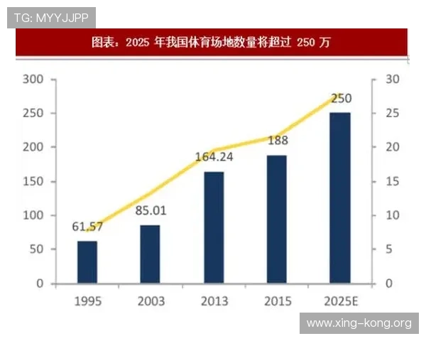 投资亿万体育产业的风险与机遇探究未来市场潜力与增长点