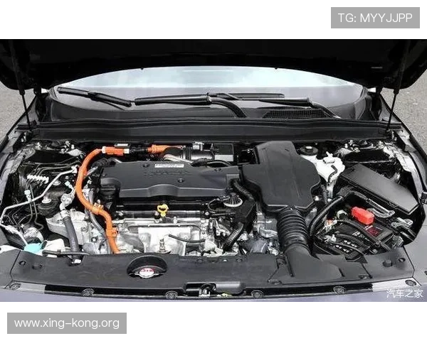 星空体育官网入口账号注册遇到问题怎么办？完整解决方案帮你轻松应对