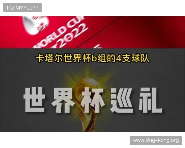 世界杯比利时伊朗比赛赛后数据报告涵盖控球率射门次数等核心指标