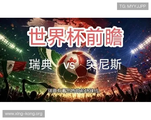 世界杯瑞典突尼斯比赛回顾与精彩瞬间分析助你全面了解赛事亮点