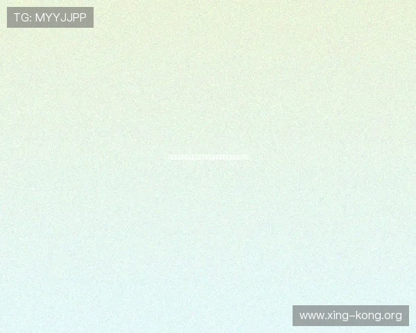 伊朗与新西兰交锋赛前赛后数据统计与比赛趋势分析 伊朗与新西兰交锋赛前赛后数据统计与比赛趋势分析